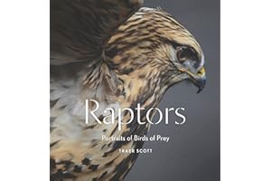 Raptors: Portraits of Birds of Prey
