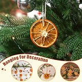 Fox·Bunny 30Pcs Dried Orange Slices with Hemp Rope Christmas Wreath Making view 5