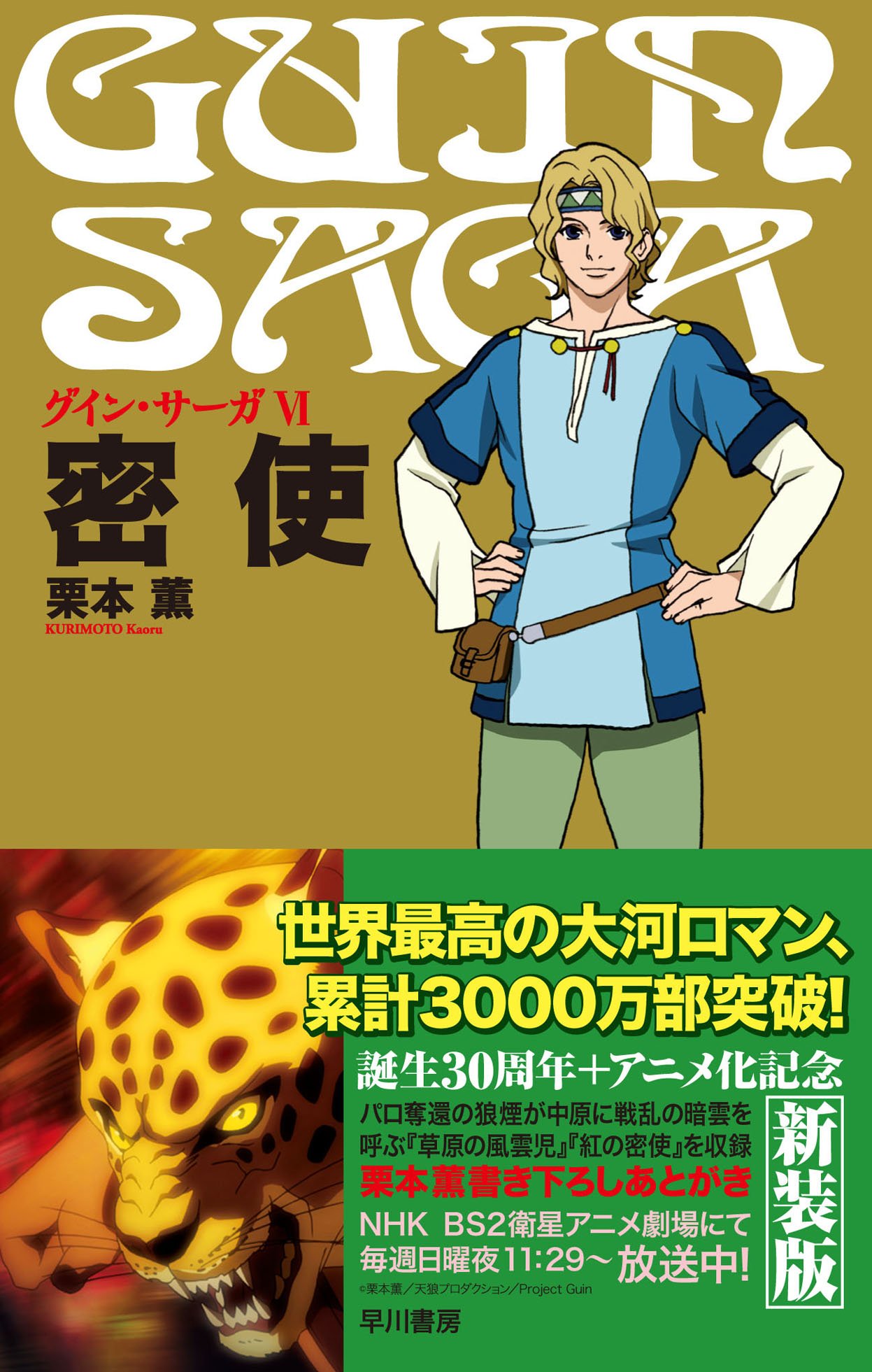 Guin Sai Ga Guin Saga 6 Misshi Kaoru Kurimoto Amazon Com Books