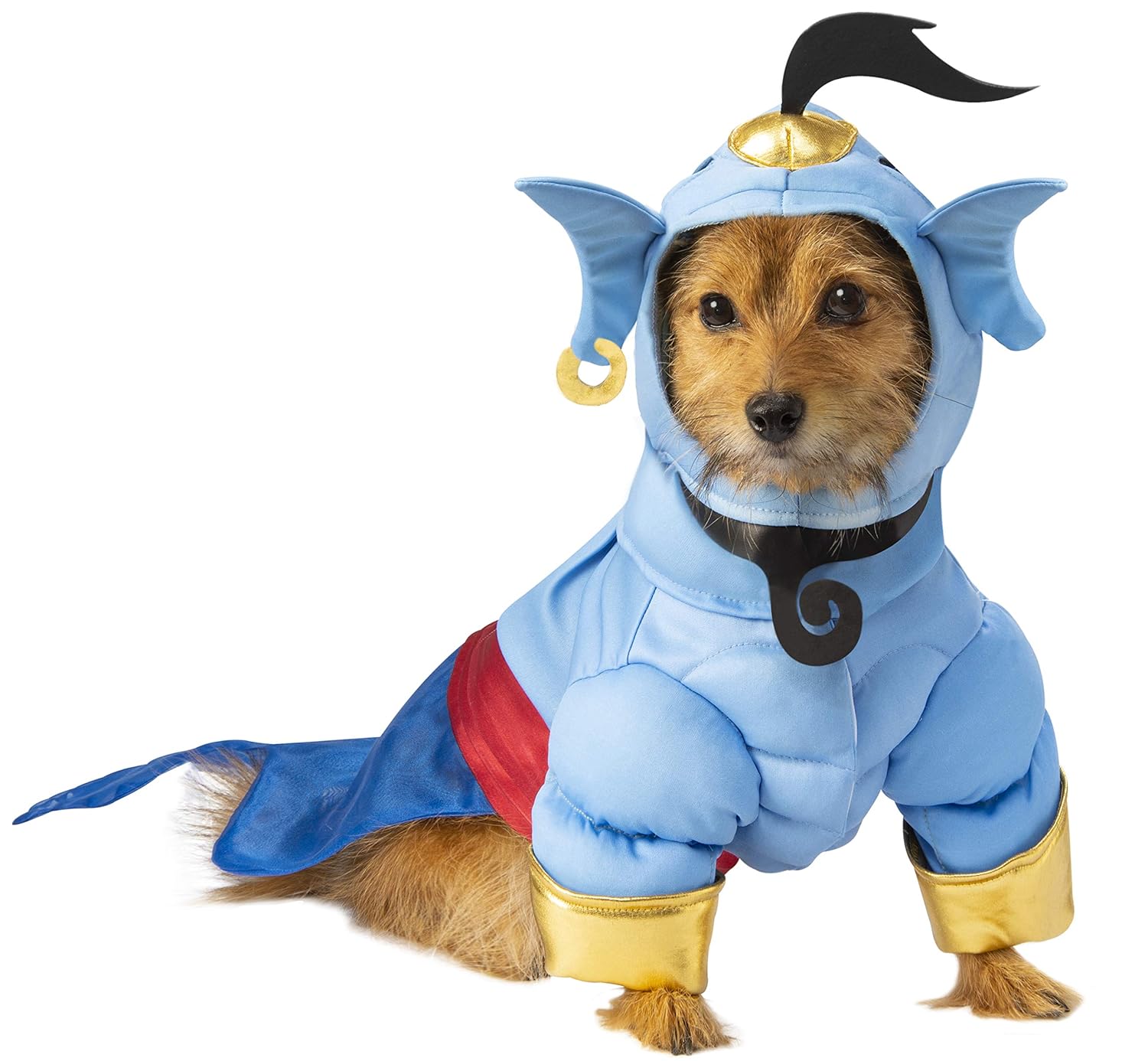 Which Is The Best Genie Dog Costume