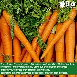 Elixir Gardens Triple Super Phosphate Fertiliser 0-46-0 For Fruit Veg Flowers view 5