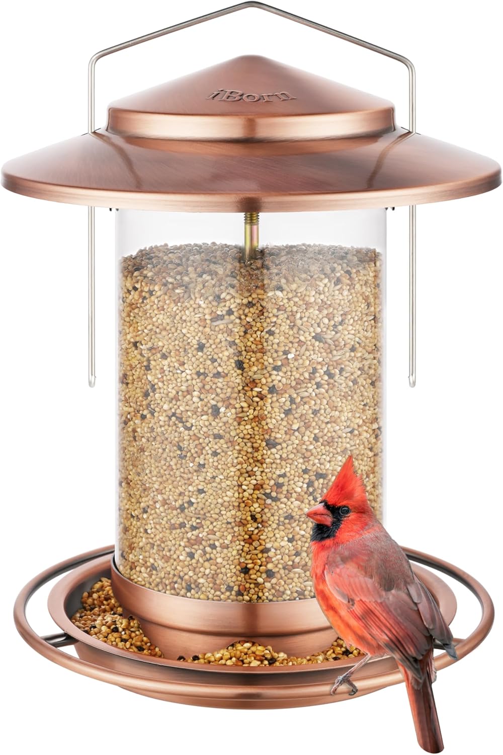 Backyard Birding & Wildlife - iBorn Metal Bird Feeder for Outside Hanging,Wild Bird Feeders for Cardinal,18cm Large Roof&Tray Brushed Copper 6 Port (Seed is not Included)