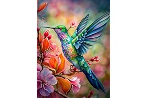 Meothan Birds Diamond Painting Kit Hummingbird Diamond Art Kits for Adults Colourful Diamond Painting Kit Full Drill Diamond Rhinestone Gem Art Kits for Home Wall Decor 12 x 16in