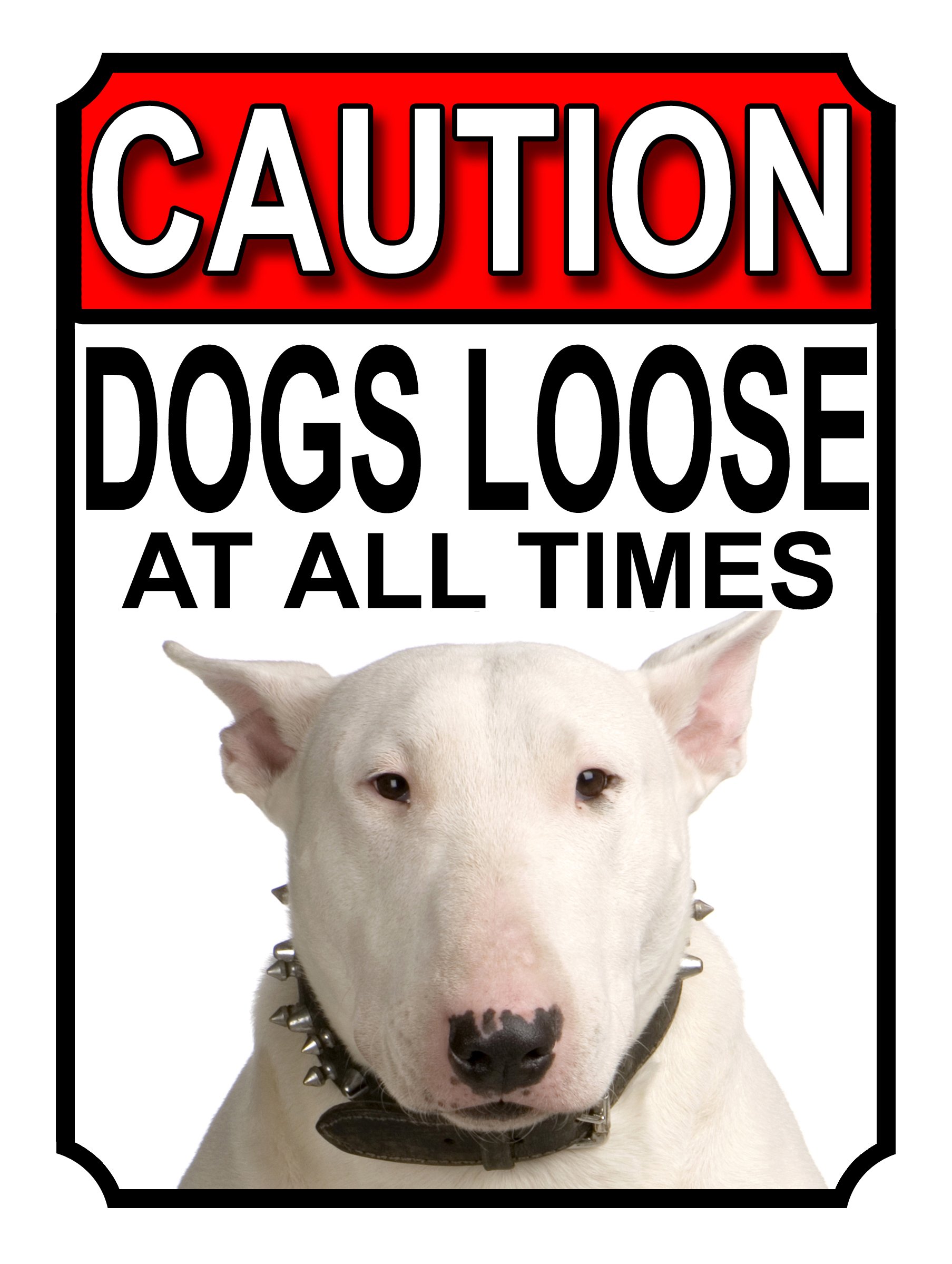 SHAWPRINT CAUTION DOGS LOOSE AT ALL TIMES METAL GATE SIGN BULL TERRIER 200MM X 150MM (1184H1) — image 1