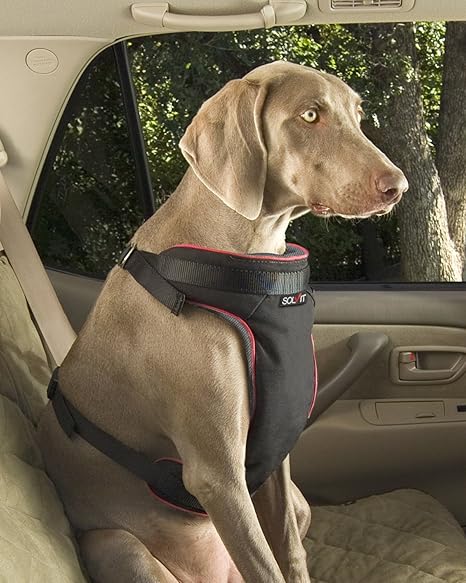 Extra large dog car harness Clearance