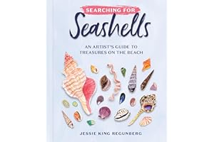 Searching for Seashells: An Artist's Guide to Treasures on the Beach