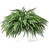 Malomke 16 Pcs Norfolk Pine Stems, 19" Long Artificial Norfolk Pine Branches, Real Touch Greenery Stems for Vases, DIY Garland, Indoor Home Decorations