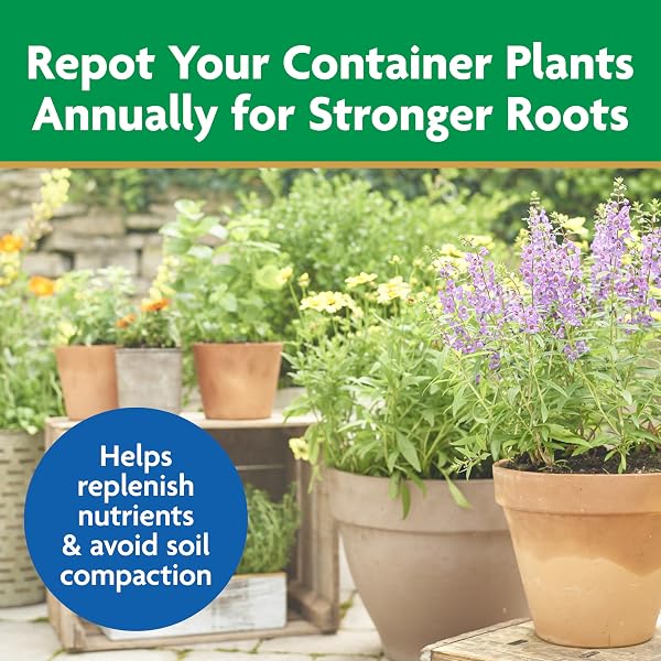 MIRACLE-GRO MOISTURE CONTROL POTTING MIX – PLANT SOIL FOR CONTAINER PLANTS, PROTECTS AGAINST OVER- AND UNDER-WATERING, 8 QT. (2-PACK)