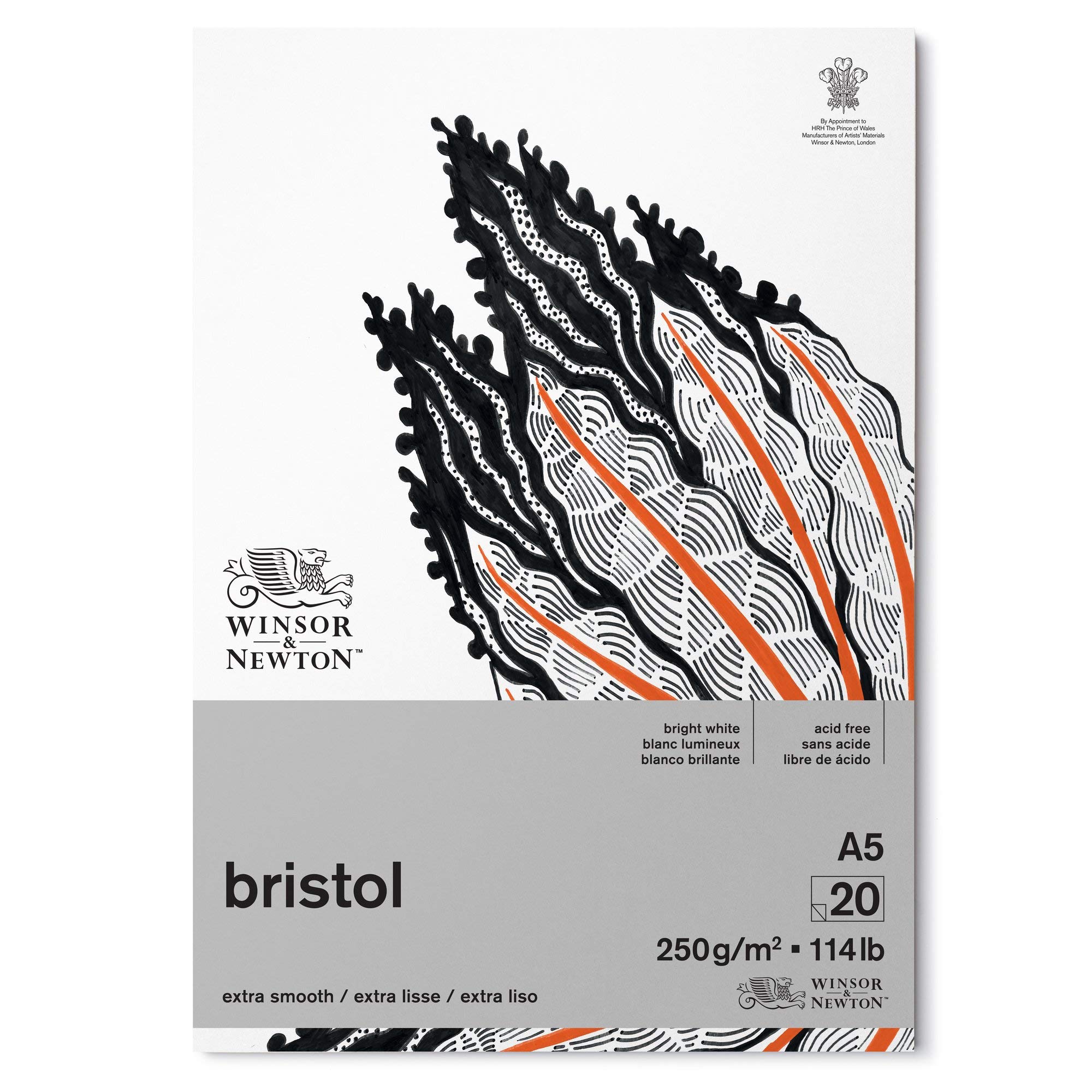 Winsor & Newton 6661544 Bristol Board Gummed, 20 Sheet, 250gsm, A5 Size, 20 Page, Pack of 6, Brilliant Whites.