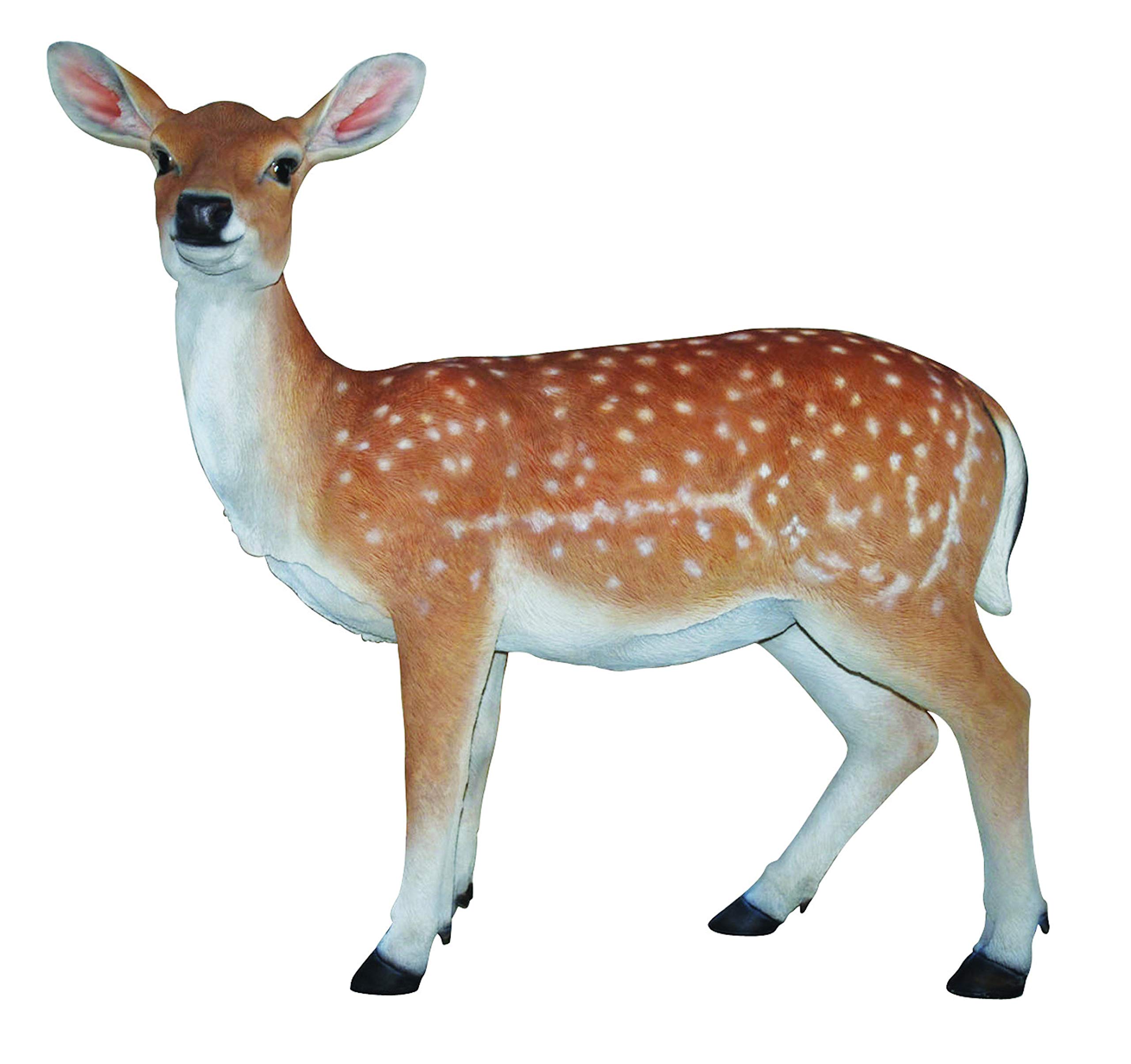 Fallow Deer Real Life Resin Ornament Large by Vivid Arts