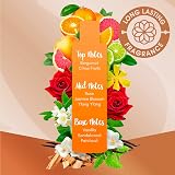 Sanctuary Salt Body Scrub Exfoliating Dead Sea Salt with Oils 650g view 5