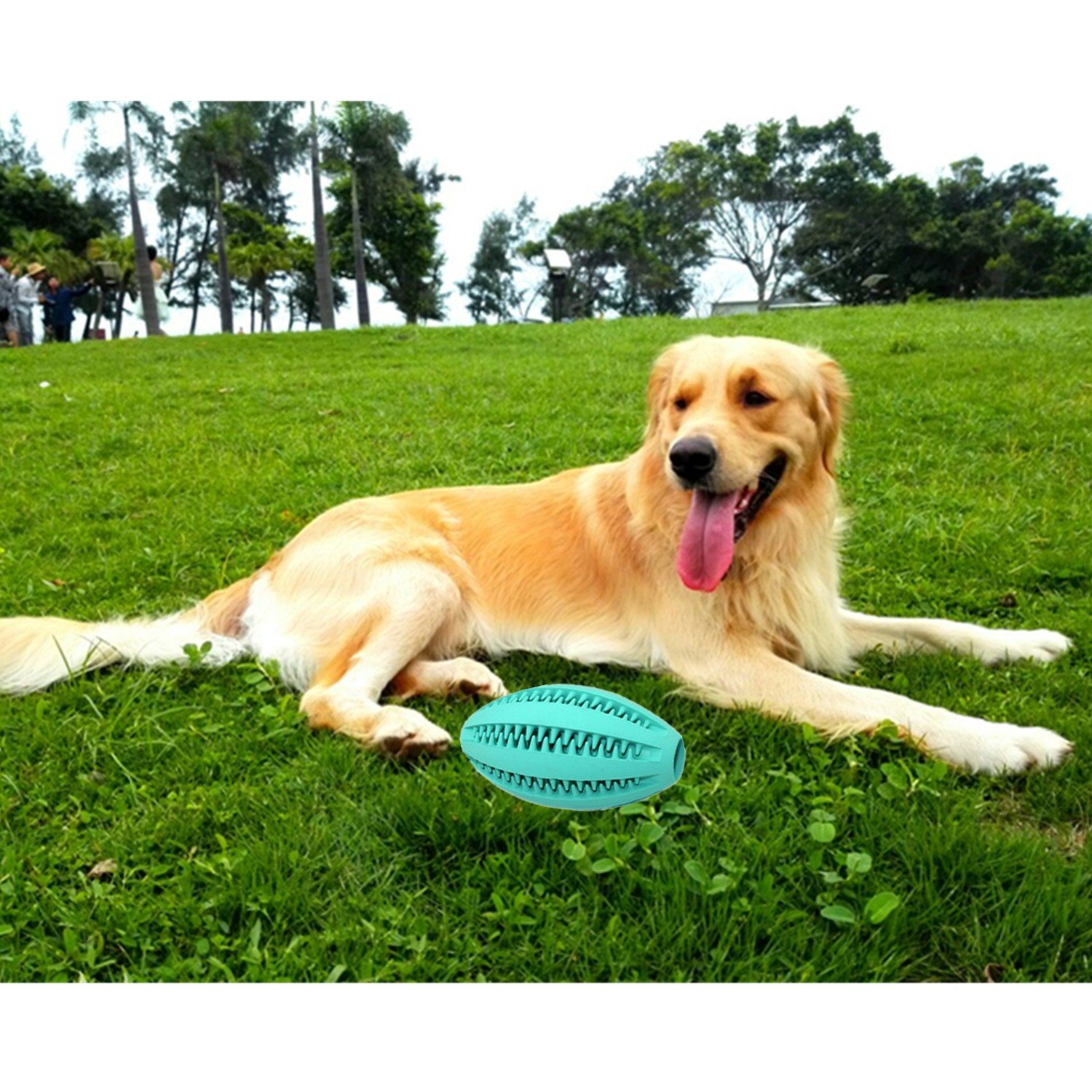 Dog\'s Chew Toy Dogs Durable Non-Toxic Strong Toothes Cleaning/Training/Playing/Chewing,Soft Rubber,Bouncy, Rugby Ball Rubber Pet Dog Cat Exercise and Reward Toy