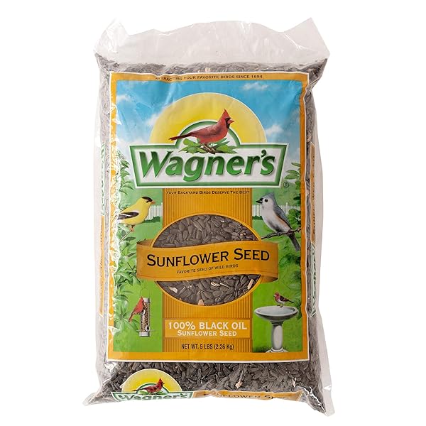 WAGNER’S 52023 BLACK OIL SUNFLOWER SEED WILD BIRD FOOD, 5-POUND BAG