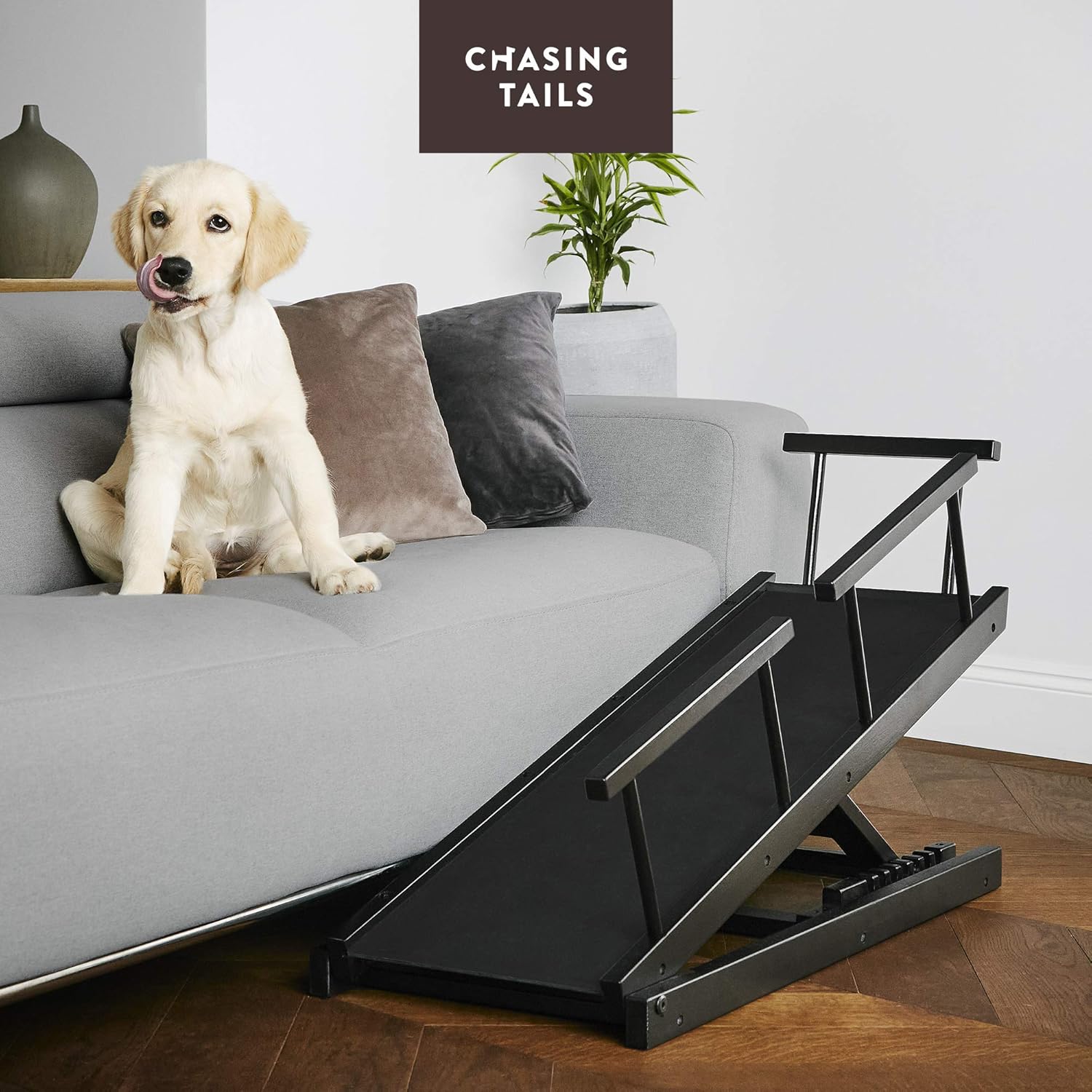 Chasing Tails Dog Ramp for Bed - Pet Ramp for Small/Large Dogs, Paw Ramp for Dogs and Cats, Adjustable Height from 10 to 20 Inches - Sturdy, with Side Rails for Additional Safety : Pet Supplies