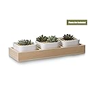 Opps 3 Pcs 3.54 Inch White Ceramic Square Succulent/Cactus Plant Pot with Decorative Window Wooden Plant Container Box Tray