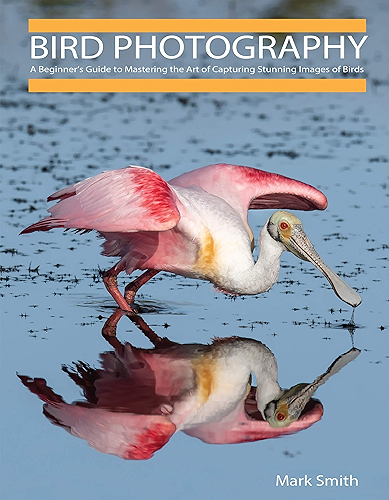 Download Bird Photography: A Beginner’s Guide to Mastering the Art of Capturing Stunning Images of Birds (English Edition) PDF