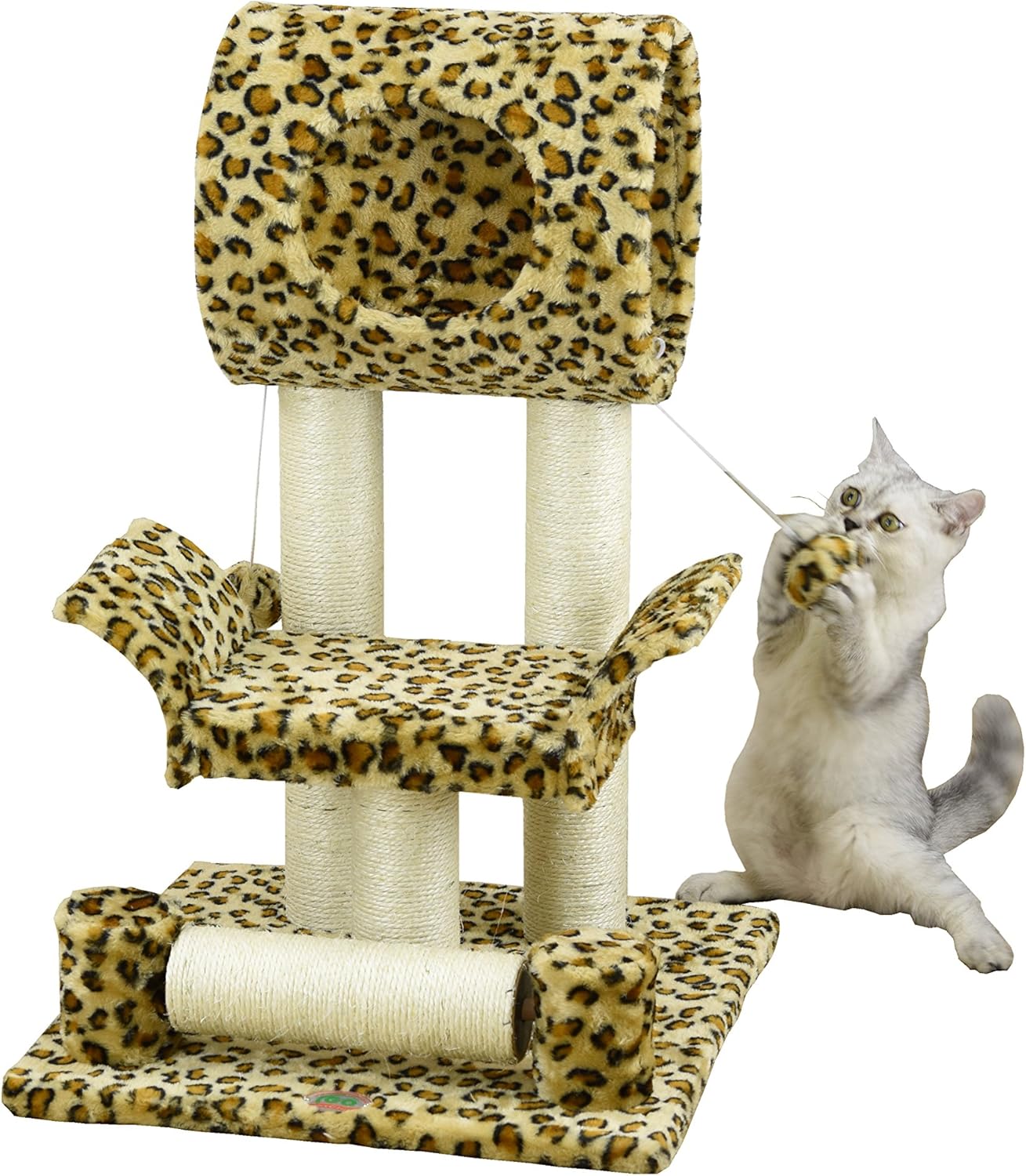 leopard print domestic cat