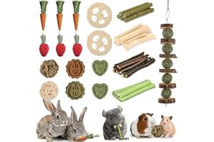 KAGOTY 40 PCS Rabbit Chew Toys for Teeth, Natural Bunny Chew Toys Carrot, Strawberry, Timothy Grass Cake, Sweet Bamboo, Apple Sticks for Hamsters, Guinea Pigs and Chinchilla for Dental Care & Relieve Boredom