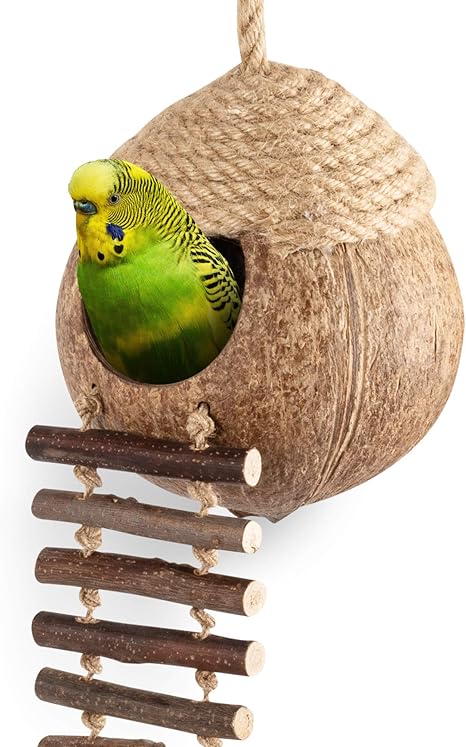 Amazon Com Andwe Cabana De Nido De Coco Con Escalera Para Loros Periquito Conures Cacatua Diseno De Animales Pequenos Mascotas