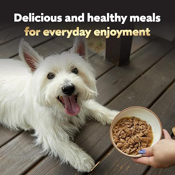 CESAR FILETS IN GRAVY, ADULT WET DOG FOOD, ROTISSERIE CHICKEN FLAVOR, WET FOOD FOR DOGS, 3.5 OZ TRAYS, 24 COUNT