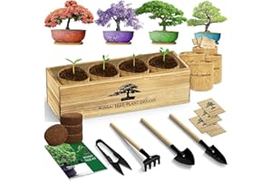 LUOJIBIE Bonsai Tree Kit, Complete Bonzai Tree Starter Kits with Tools, Unique Christmas Birthday DIY Gardening Gifts for Women Mom Men Grandkids, Crafts Hobby Kits, Grow Bonsai Tree Live Indoor