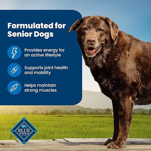 BLUE BUFFALO LIFE PROTECTION FORMULA SENIOR DRY DOG FOOD, SUPPORTS JOINT HEALTH AND MOBILITY, MADE WITH NATURAL INGREDIENTS, CHICKEN & BROWN RICE RECIPE, 5-LB. BAG