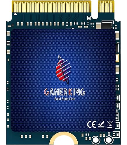 Amazon.com: KINGDATA M.2 2230 SSD 256GB PCIe NVMe Gen 4.0X4