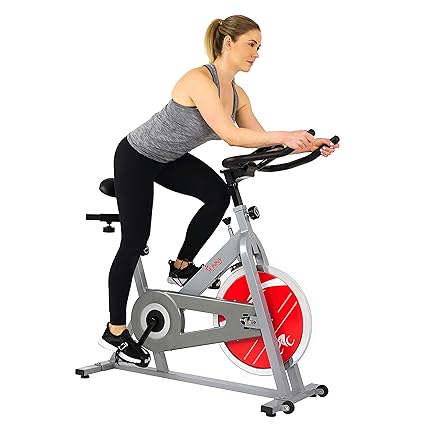 sunny spin bike amazon