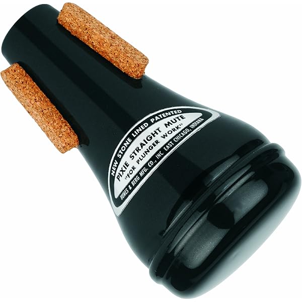 Pixie Mute ubicaciondepersonas.cdmx.gob.mx