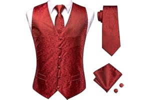 Dubulle Mens Suit Vest and Tie Set Paisley Floral Silk V-neck Waistcoats for Men with Necktie Wedding Tuxedo