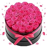 VEVOR Forever Flowers, 27 Preserved Roses in a Box, Eternal Flowers Immortal Bouquet Birthday Present for Delivery Prime Women Her Wife Mothers, Anniversary, Valentine's Day,Christmas, Rose Red