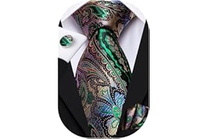 Hi-Tie Silk Paisley Ties for Men Necktie Pocket Square Cufflinks Set Foral Tie Sets Formal Business