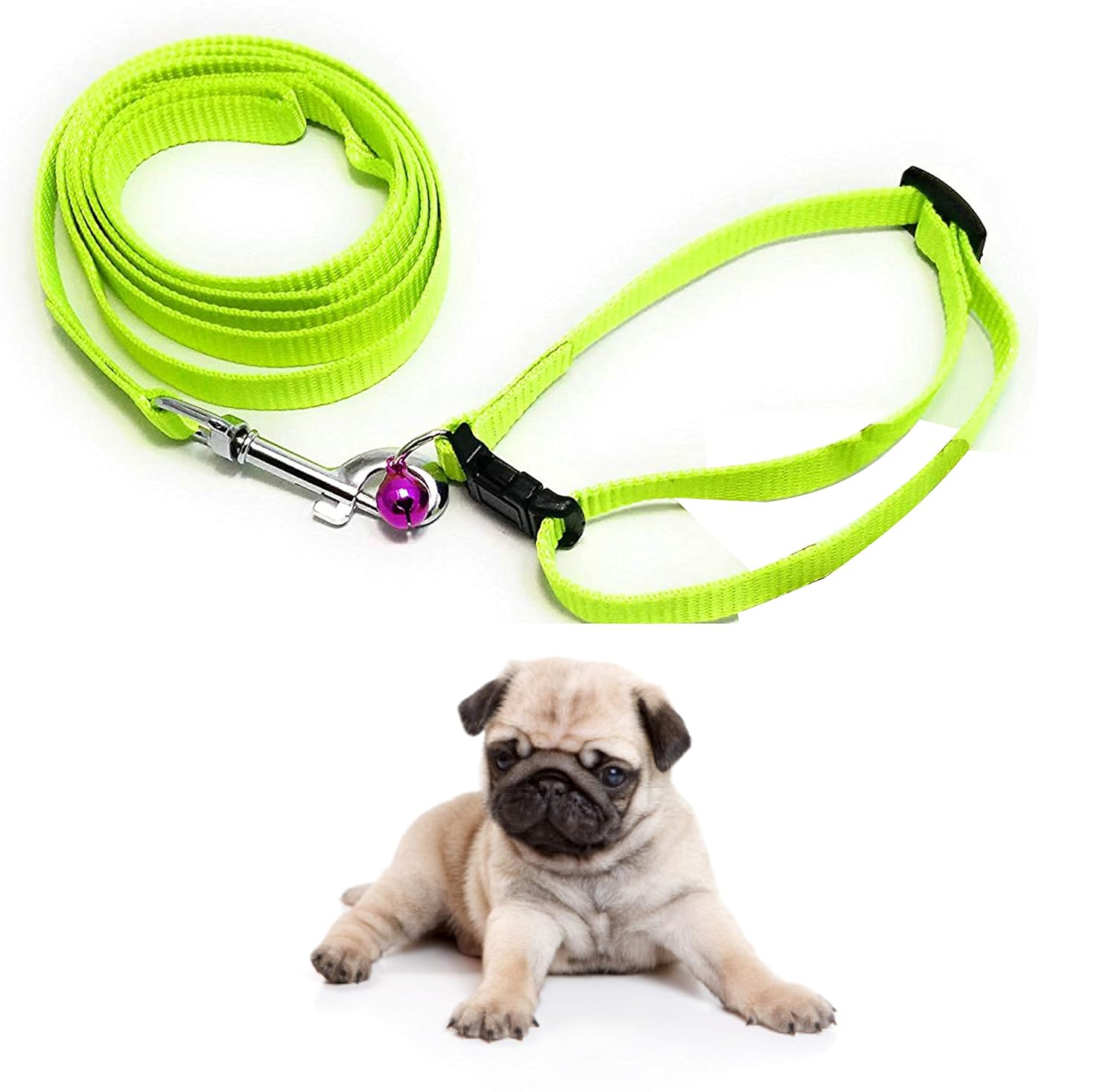 Puppy belt price Clearance