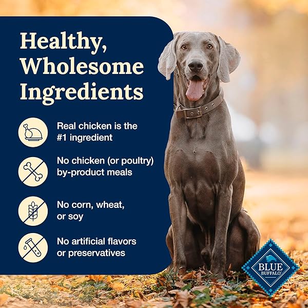 BLUE BUFFALO DELECTABLES NATURAL WET DOG FOOD TOPPERS, TASTY CHICKEN CUTS IN GRAVY, 3-OZ. (24 POUCHES)