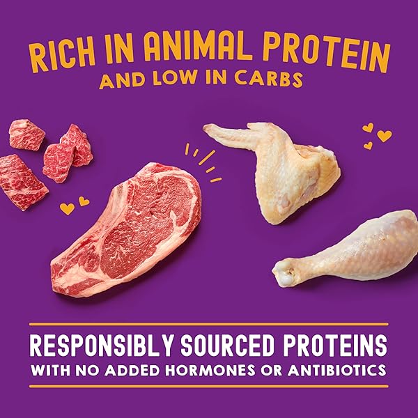 STELLA & CHEWY’S CARNIVORE CRAVINGS MORSELS & GRAVY CHICKEN & BEEF RECIPE WET CAT FOOD POUCHES – (2.8 OUNCE POUCH, CASE OF 12)