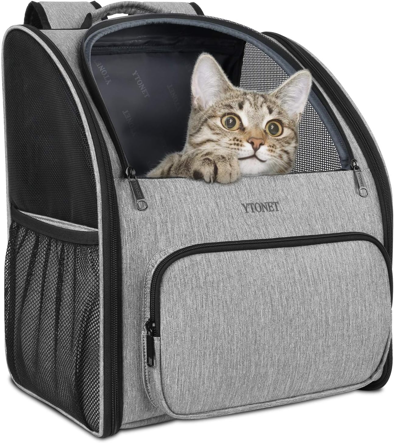 cat carrier for 2 cats