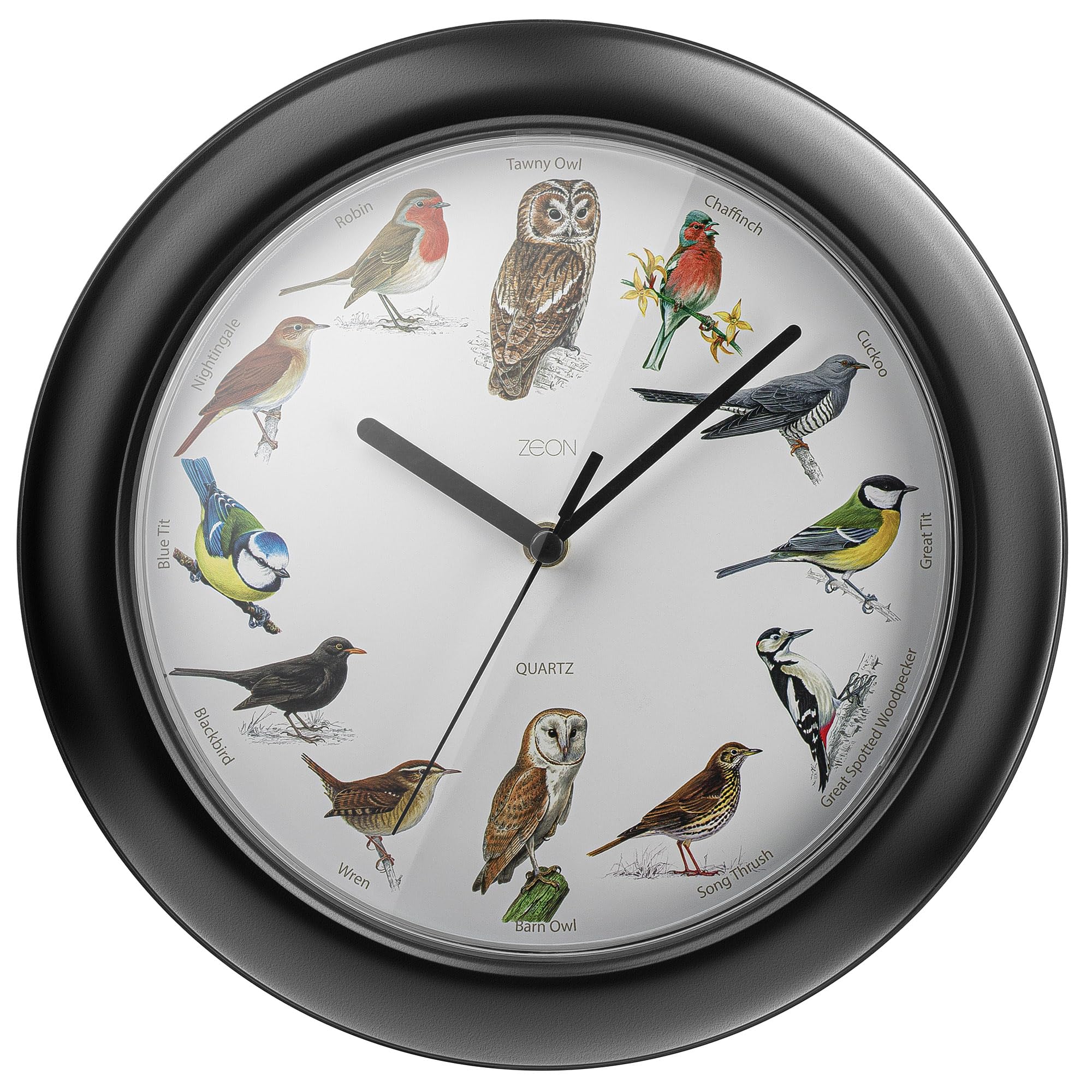 ZEON Birdsong Wall Clock with Hourly Birdsong Announcements, Black, 24cm