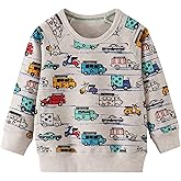 AIWUHE Toddler Boys Girls Sweatshirt Crewneck Pullover Long Sleeve Tops Blouse Cotton T-Shirt Fall Winter Clothes 2-6Y
