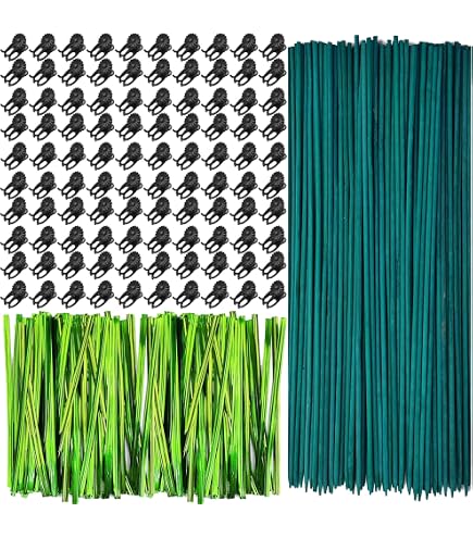 RONYOUNG Kit Da 100 Picchetti In Bambù, 100 Clip E 100 Legacci: Il Supporto Perfetto Per Orchidee E Piante
