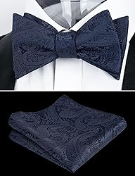 Alizeal Men Self-tied Paisley Bow Tie and Pocket