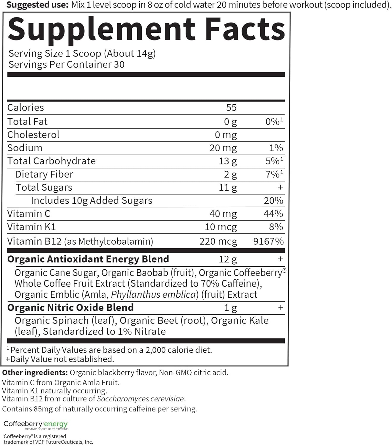 Garden of Life SPORT Organic Plant-Based Energy + Focus Pre Workout Powder, Blackberry Flavor - Clean Preworkout with 85mg Caffeine, Natural NO Booster, B12, Vegan, Gluten Free, Non-GMO, 30 Servings: Health & Personal Care