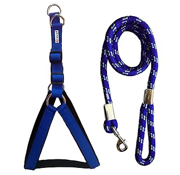 Petshop7 Nylon Padded Adjustable Dog Harness and Leash Rope for Large Pet (1.25-inch, Chest Size: 33-42, Blue)