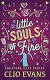 Little Souls of Fire
