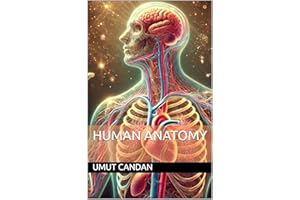 Human Anatomy