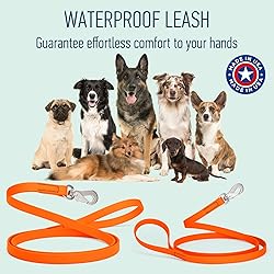Randstark Biothane Waterproof Durable Dog Leash