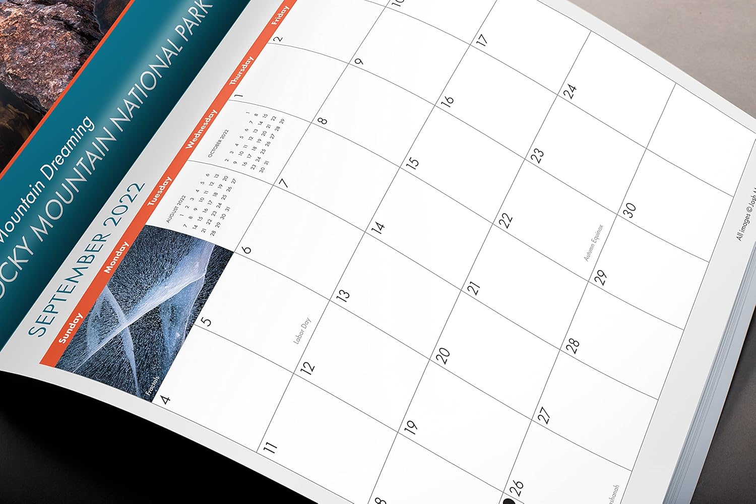 Gardenware Weather Resistant Laser Printable Pot Stick Plant Labels 63