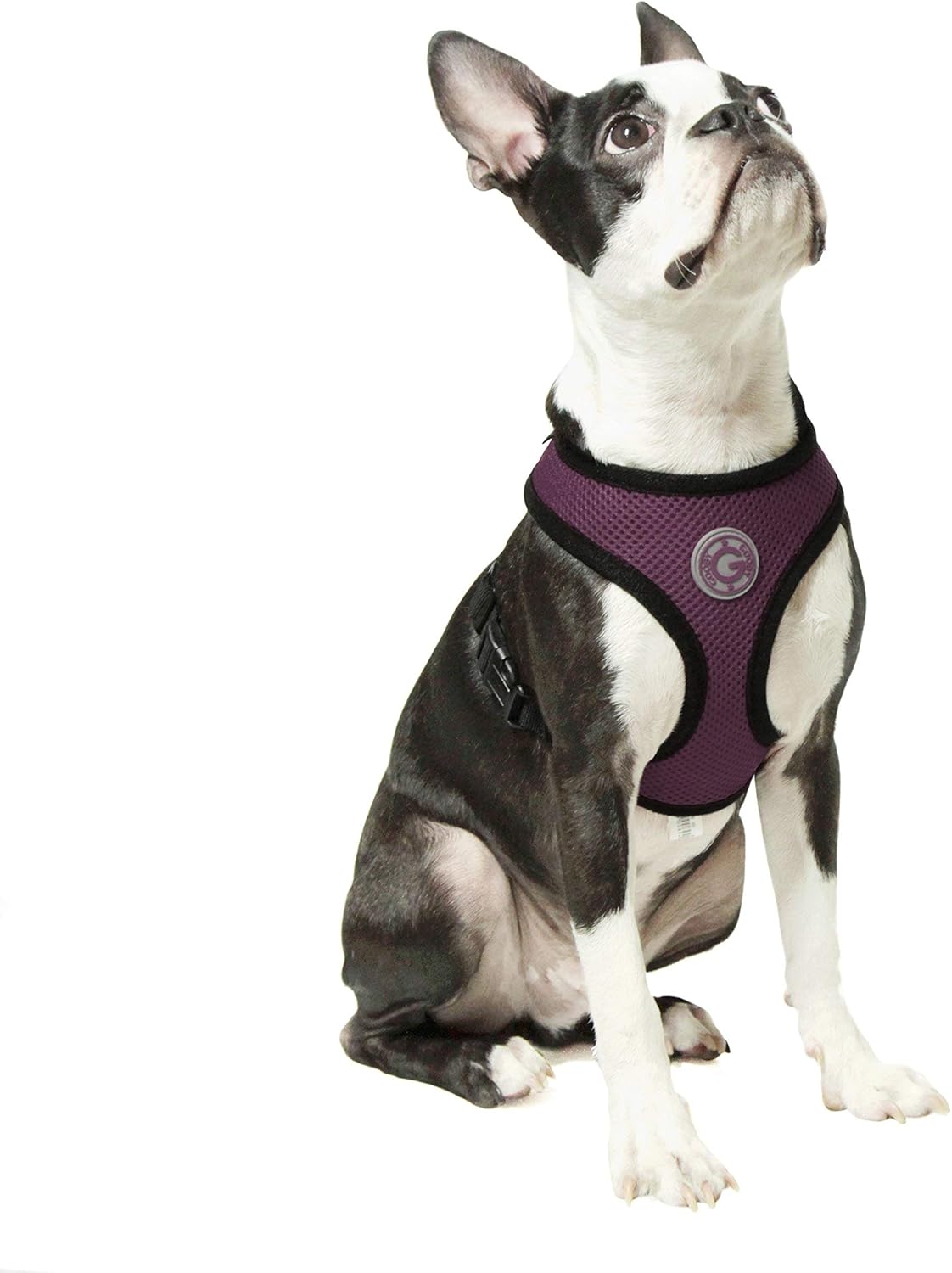 gooby harness amazon
