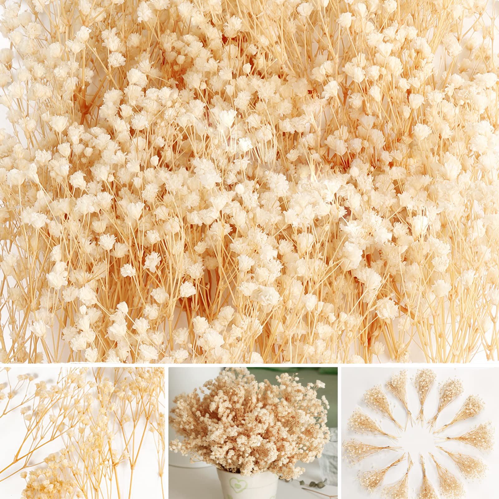 Photo 1 of 4000+ Mini Dried Baby's Breath Flowers - 65 Pcs Pressed Real Natural Gypsophila Bulk for Resin Mold Art Craft, Ivory White Flowers Bouquet for Hair Accessory, Wedding Wreath, Table Vase, Home Decor