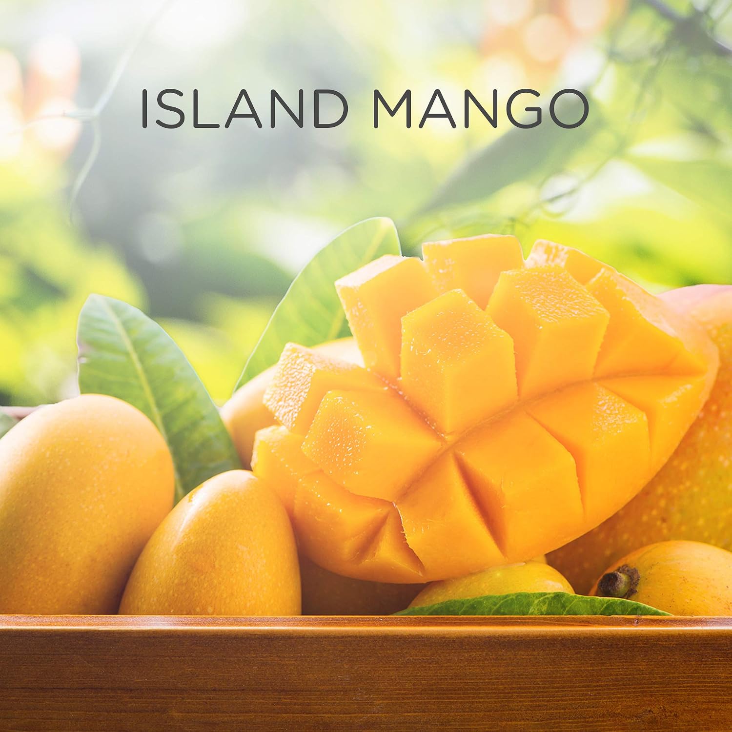 Air Wick, Island Mango, 19 ml (Pack of 6) - Image 5