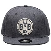 Fi Collection Borussia Dortmund Platinum Snapback Hat